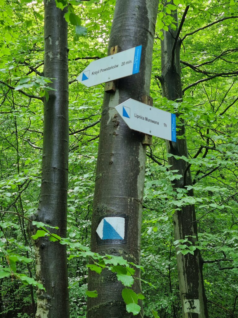 Szlak niebieski w lesie – drogowskazy do Krzyża Powstańców i Lipnicy Murowanej