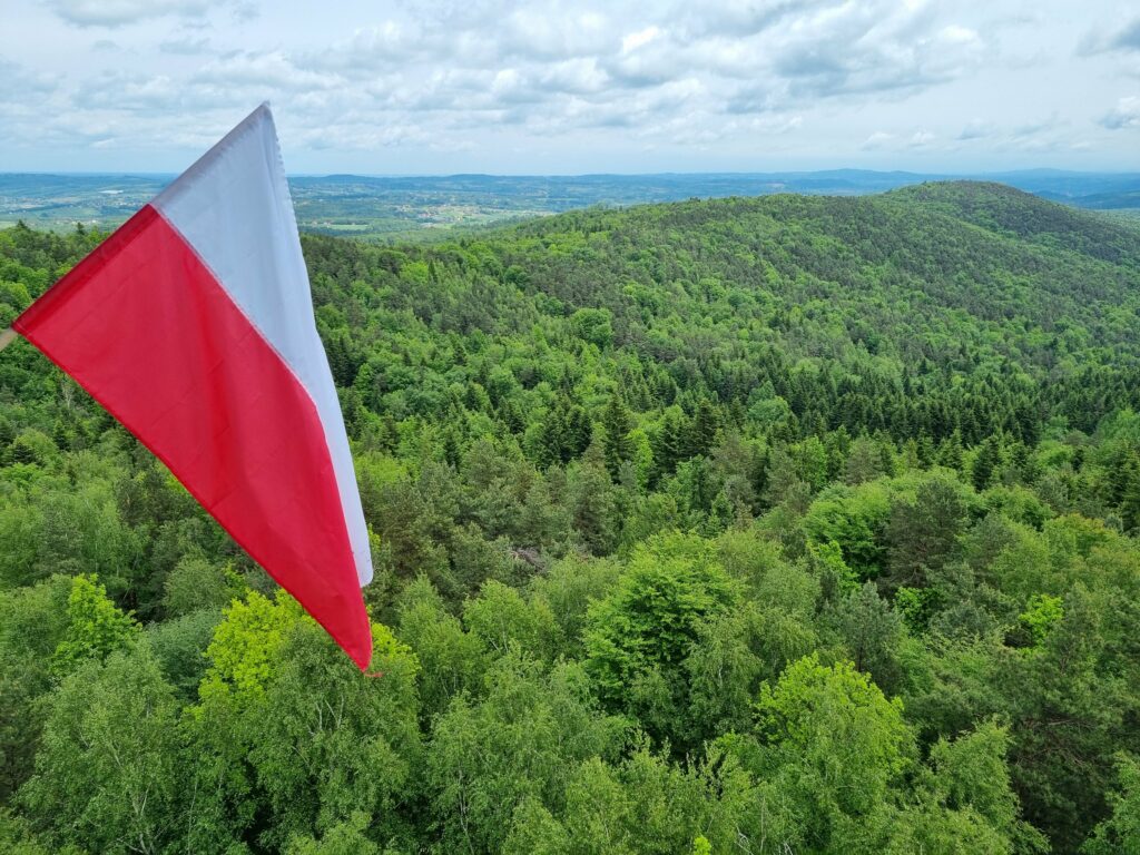 Flaga Polski powiewająca na wietrze na tle gęstego, zielonego lasu i łagodnych wzgórz Pogórza Wiśnickiego pod pochmurnym niebem.
