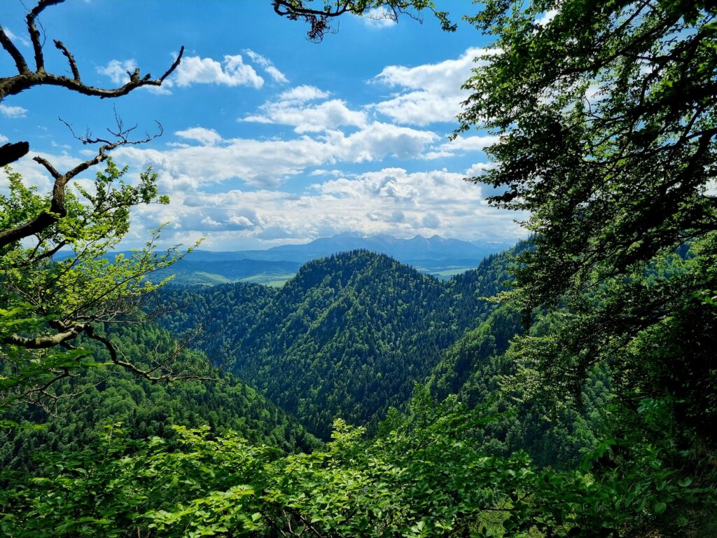 Szeroki widok na pasmo górskie i Tatry w oddali
