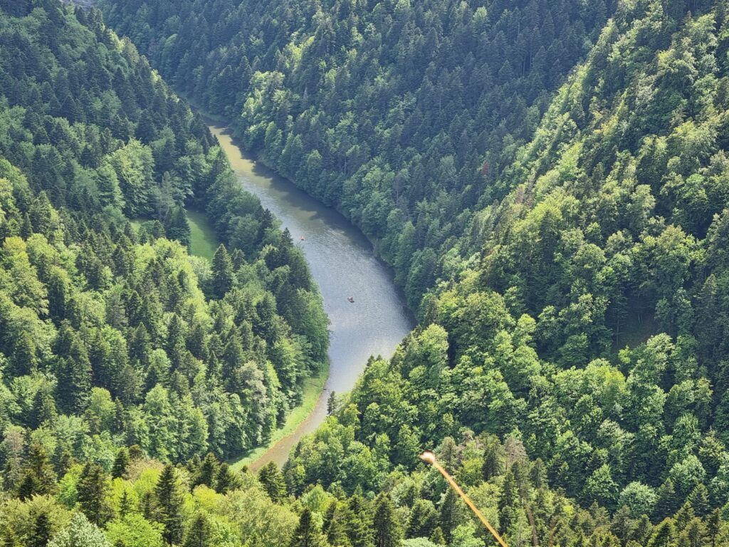 Ujęcie z góry przedstawiające rzekę Dunajec płynącą wśród zieleni