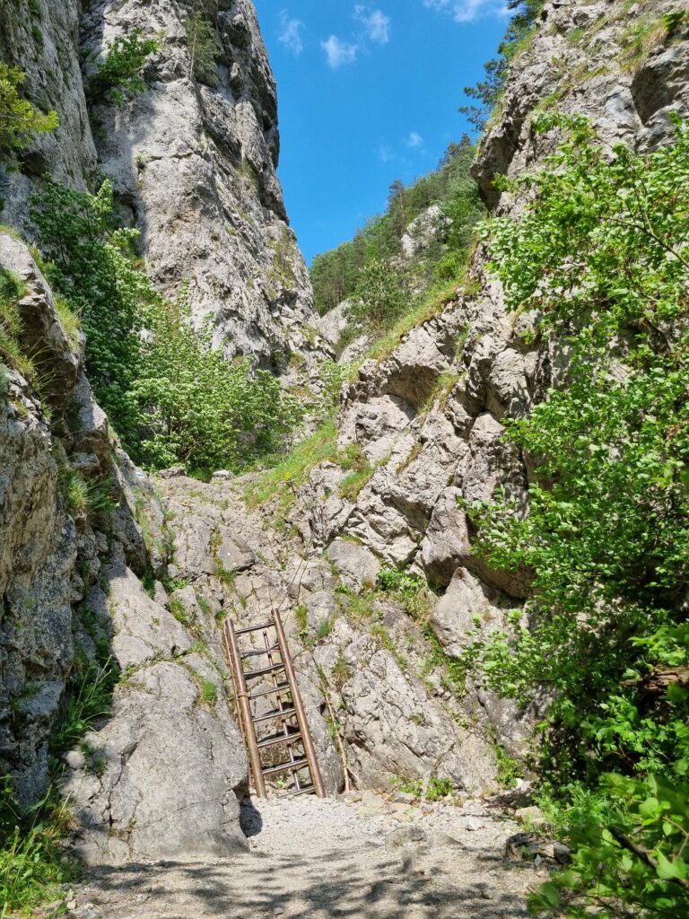 Metalowa drabina przytwierdzona do skał w wąwozie Prosieckiej Doliny.