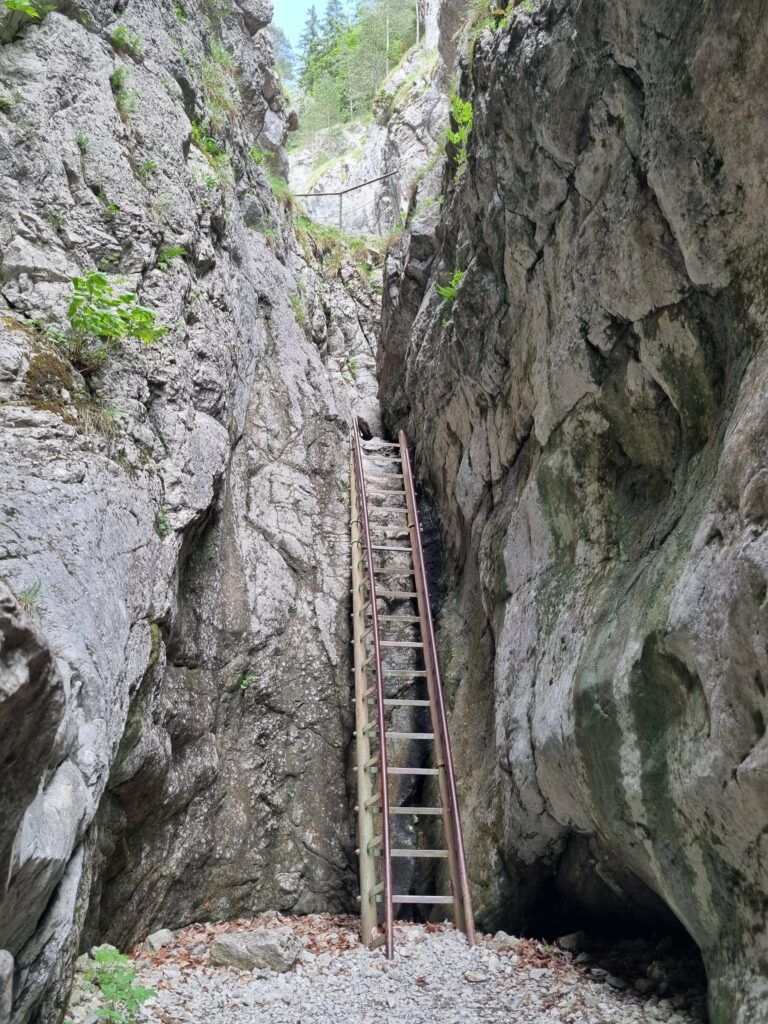 Zbliżenie na metalową drabinę przytwierdzoną do skalnej szczeliny w Prosieckiej Dolinie.