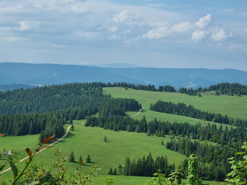Panoramiczny widok na zielone pastwiska i leśne wzgórza Liptowa z okolic Malatinská Roveň.