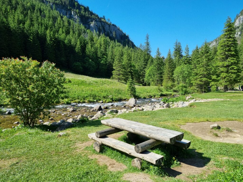 Drewniany stół piknikowy nad potokiem w Dolinie Kościeliskiej