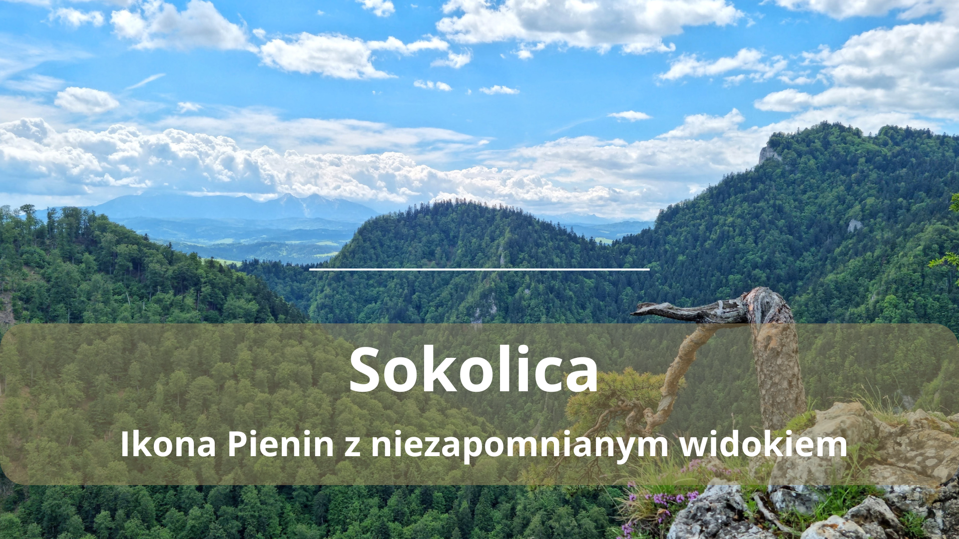 Sokolica – szlak z Krościenka