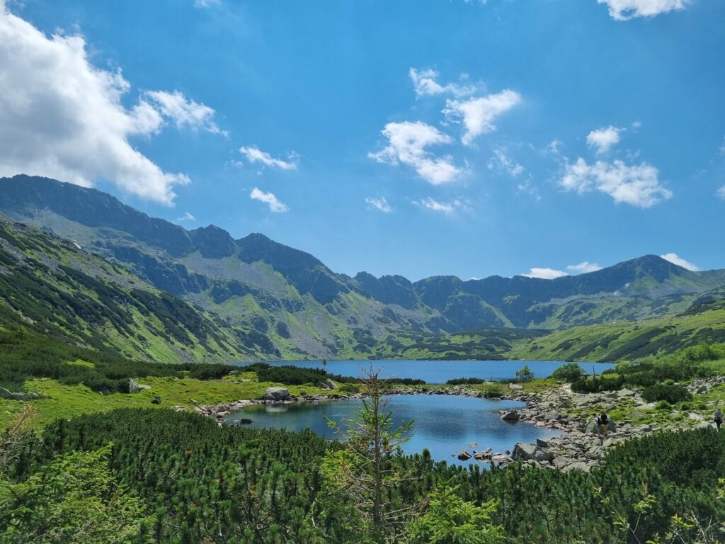 Szeroka panorama Doliny Pięciu Stawów, widok na staw otoczony kosodrzewiną.