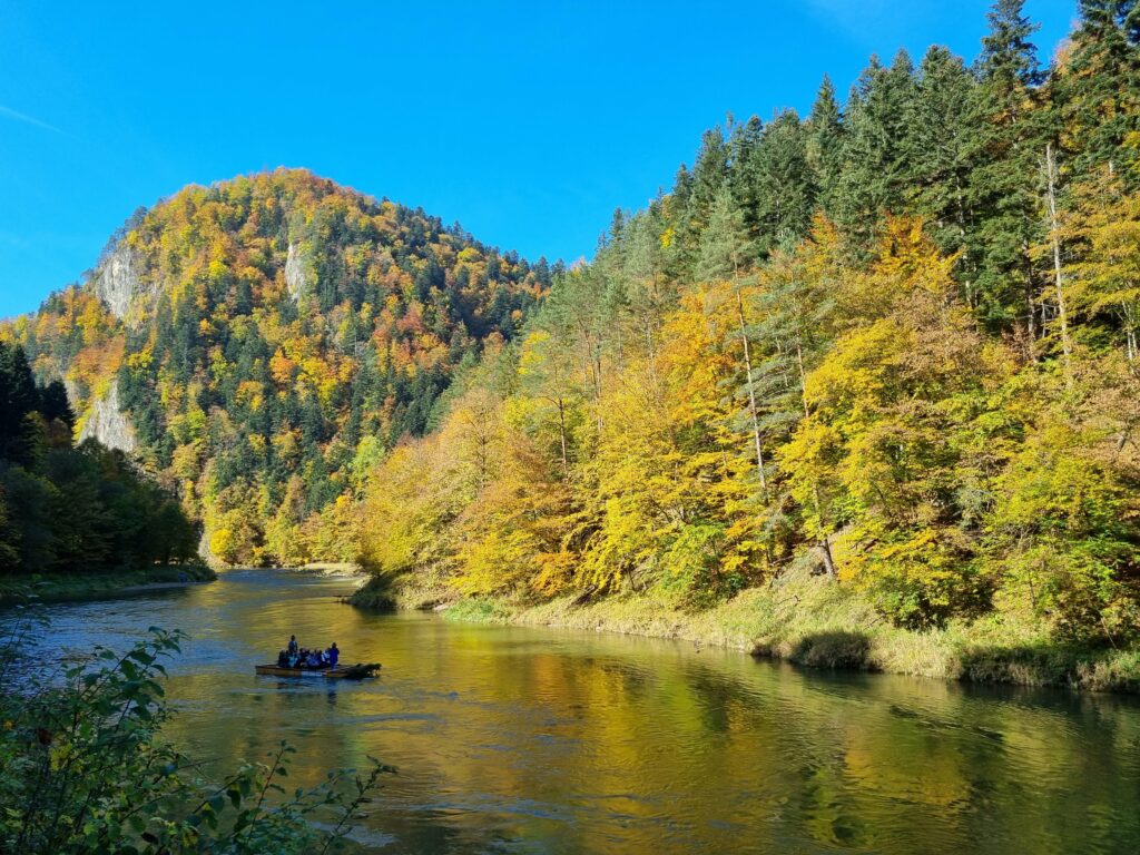 Flisacy na rzece Dunajec, otoczeni kolorowymi, jesiennymi lasami Pienin.