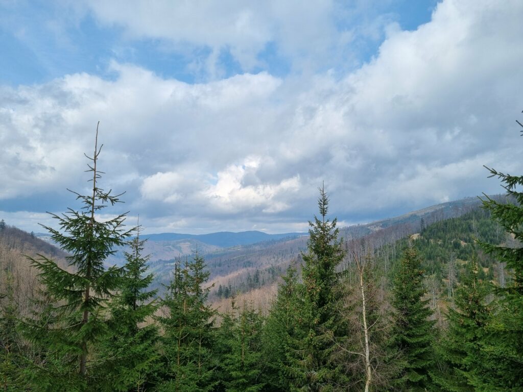 Panoramiczny widok na góry Beskidu Śląskiego, las iglasty i w oddali zbocza górskie