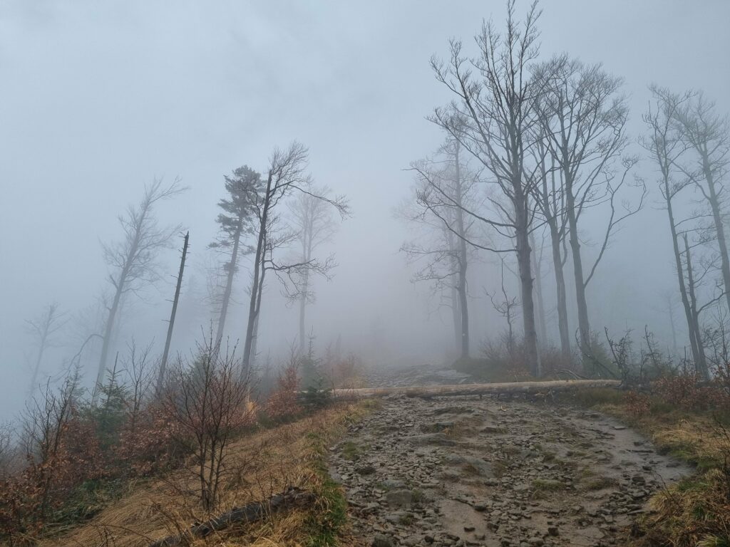 Mglisty szlak turystyczny w Beskidzie Śląskim, widoczny brak drzewostanu i mgła na grzbiecie.