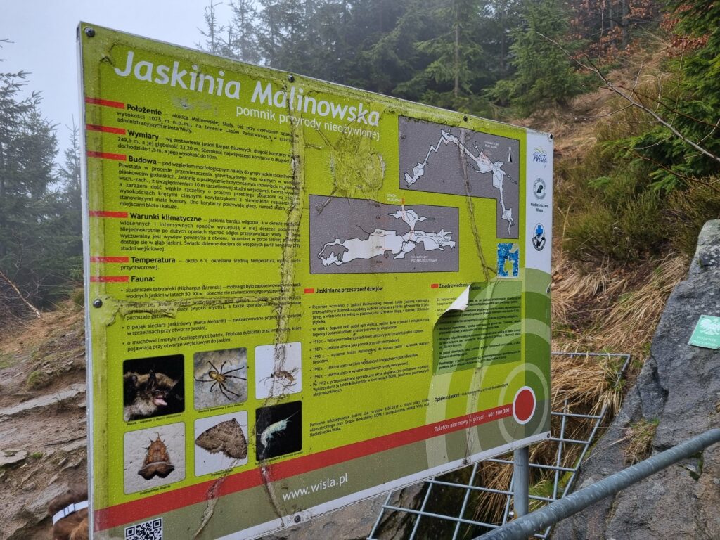 Zielona tablica informacyjna o Jaskini Malinowskiej z mapą i opisem flory i fauny.