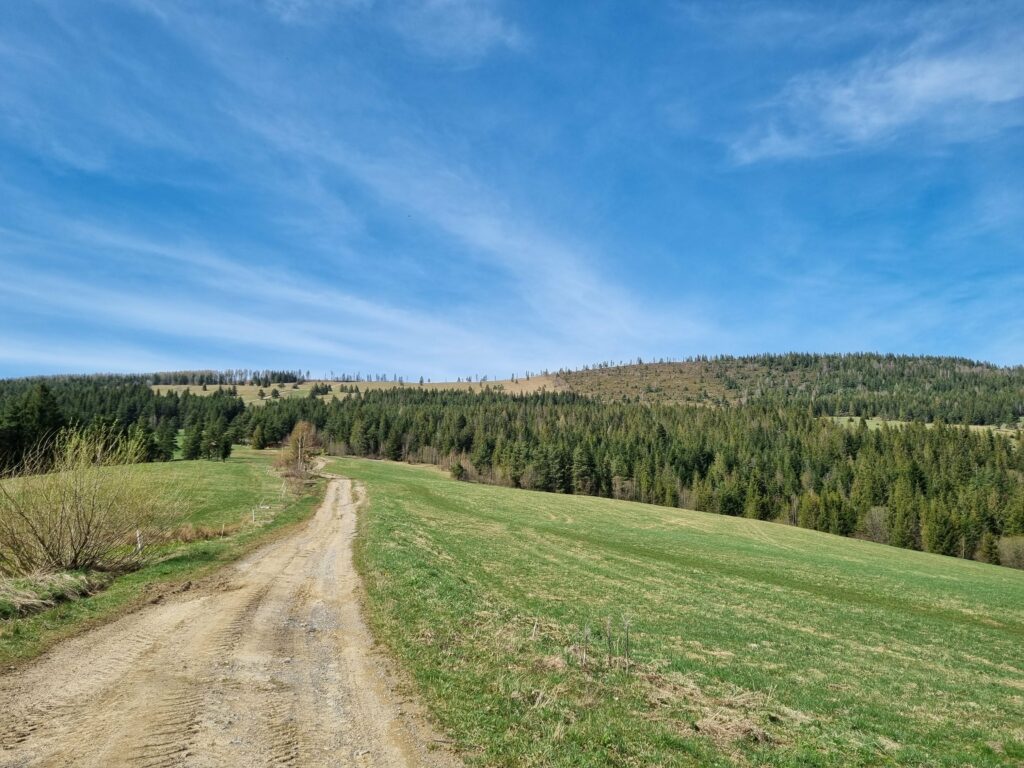wieża widokowa Machy Zuberec szlak, łatwy szlak Tatry Zachodnie