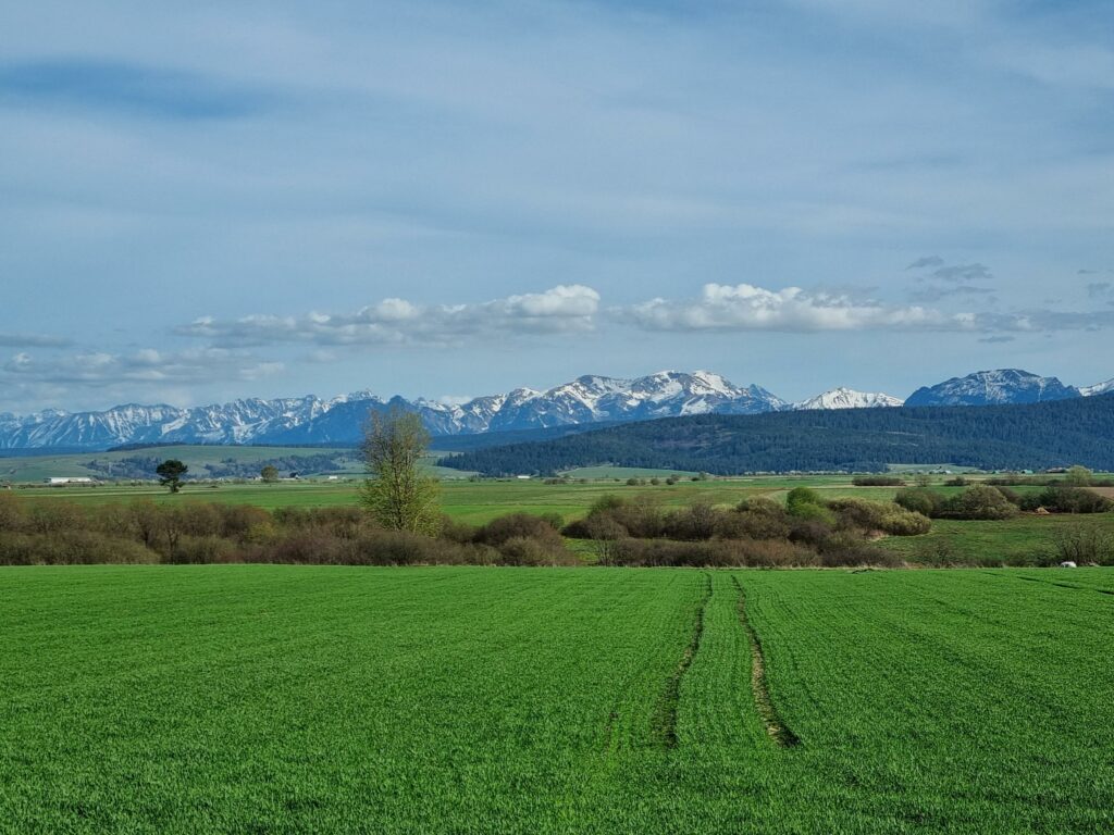 widok na Tatry, Tatry z Polski, Tatry widok z Podhala