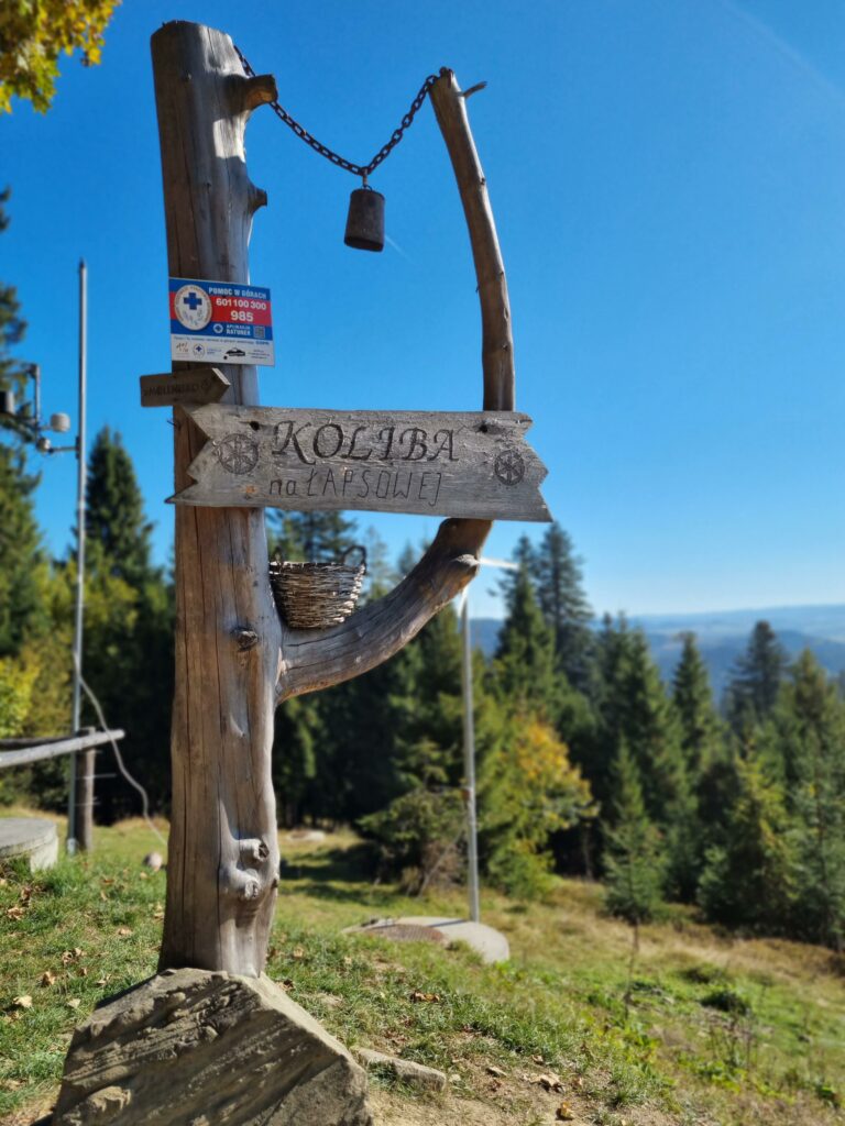 Drewniany drogowskaz z rzeźbionym napisem "Koliba na Łapsowej Polanie" zawieszony na pniu, wskazujący kierunek na szlaku. W tle widoczny jest las i niebieskie niebo.