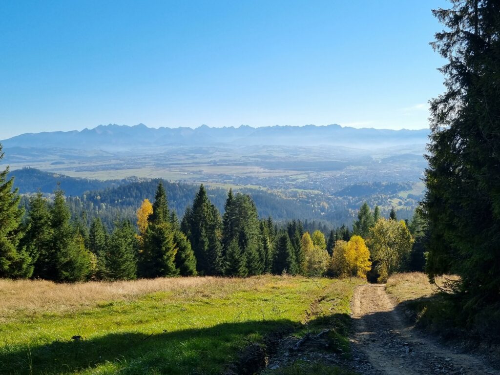 Leśna ścieżka prowadząca pod górę, z widokiem na jesienne drzewa i panoramę Tatr w oddali.