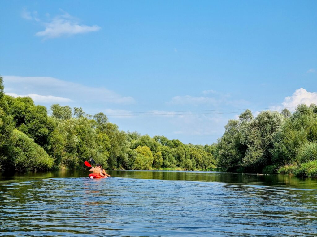 Kajak płynący po spokojnej rzece Raba, otoczone gęstym lasem liściastym. Niebo jest bezchmurne i błękitne.