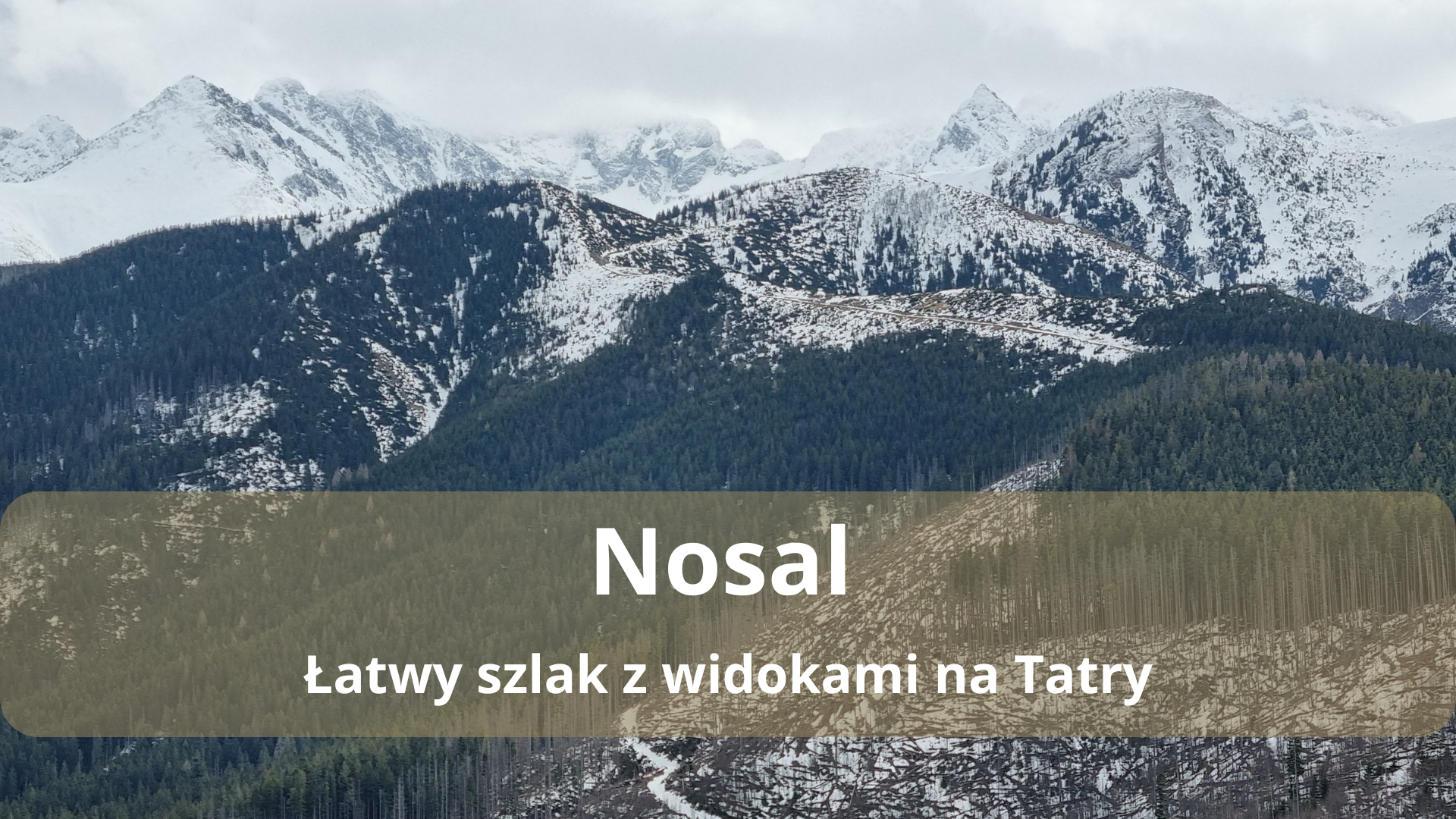 Szlak na Nosal z Zakopanego – łatwy z widokami