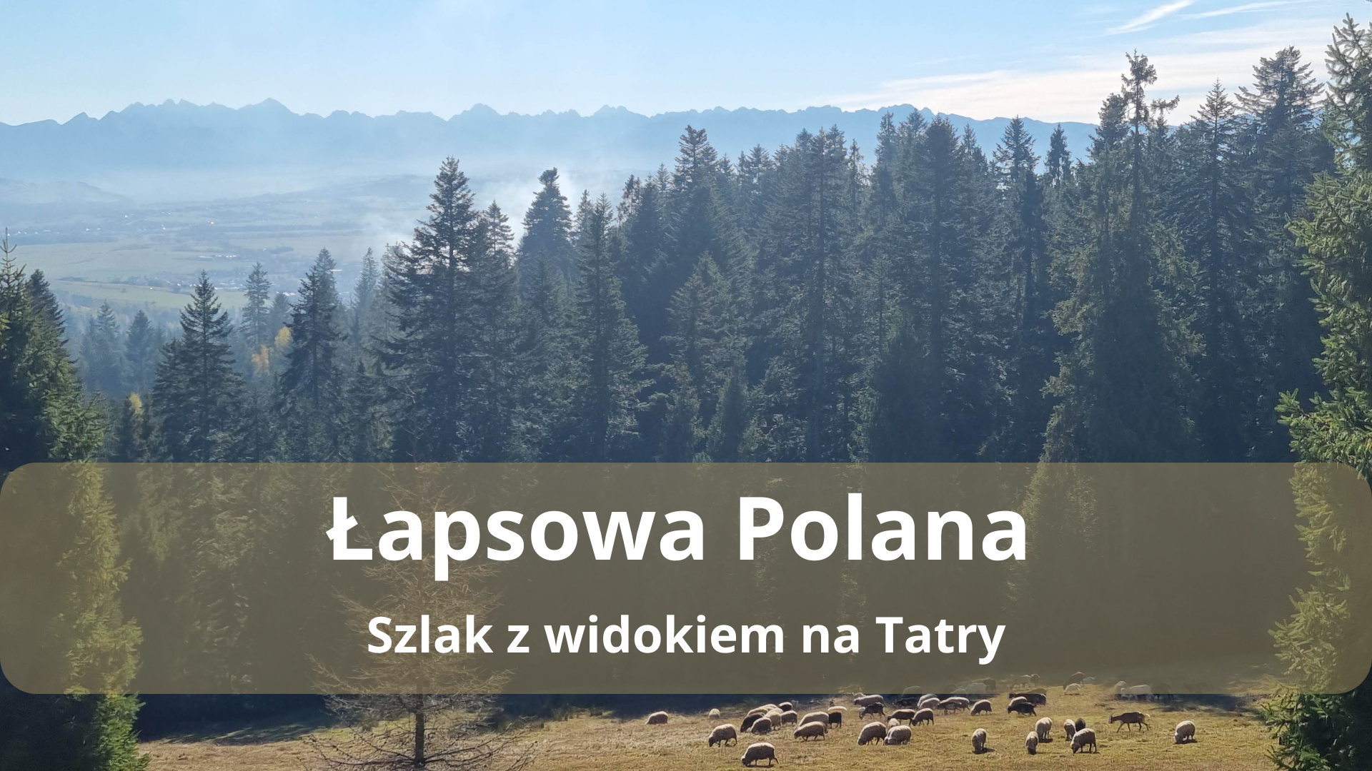 Łapsowa Polana i schronisko Koliba – szlak z widokiem na Tatry