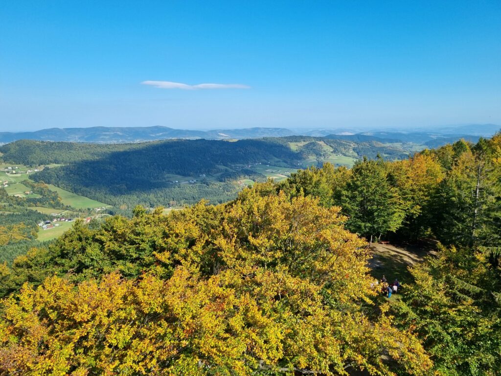 Widok na góry z zalesionego szlaku na Modyniu.
