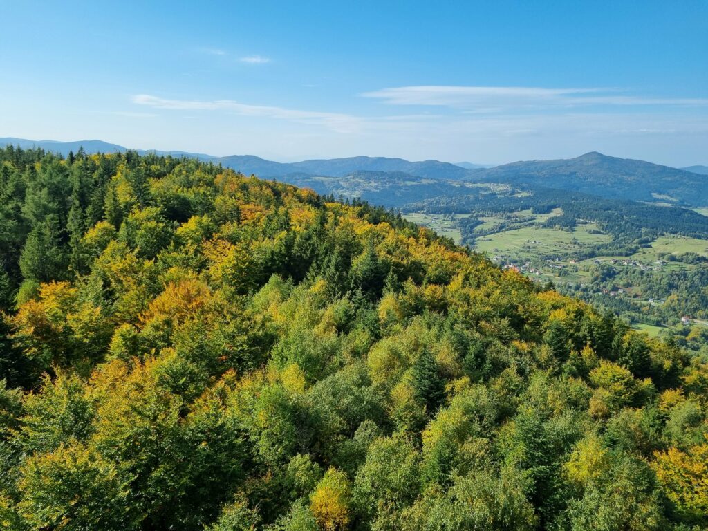 Widok z góry na jesienny las i góry Beskidu Wyspowego.