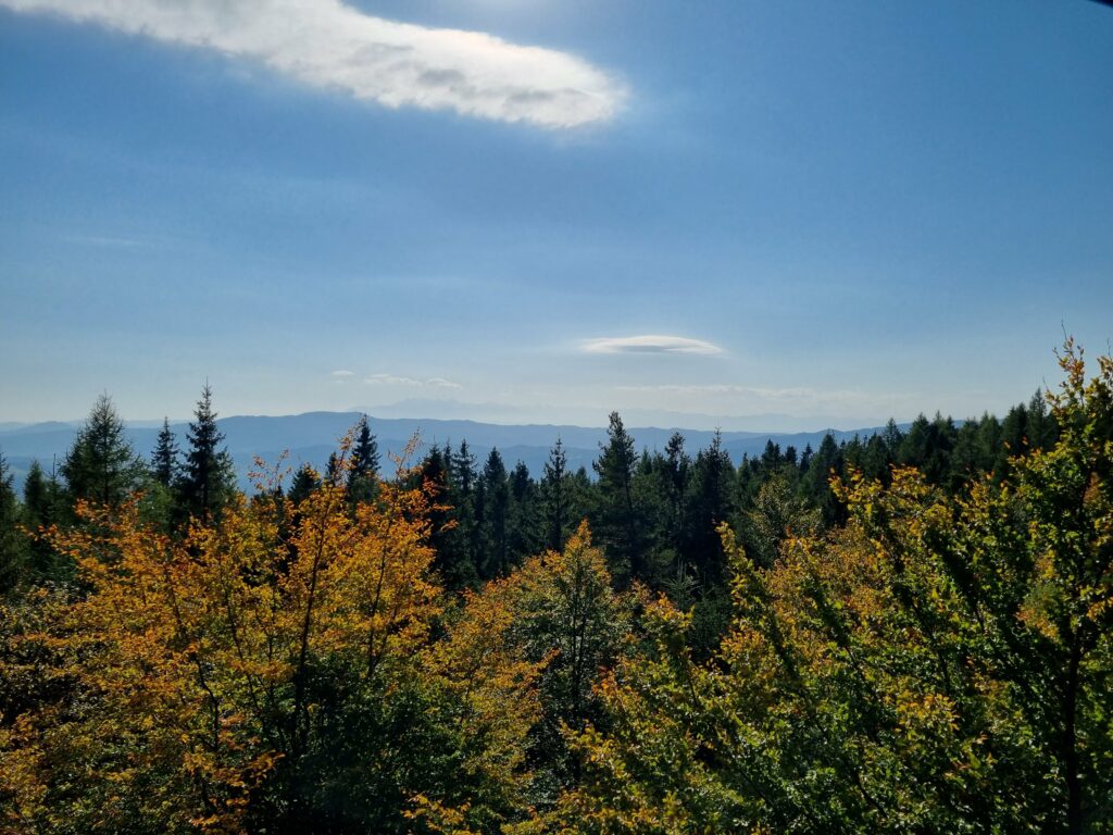 Panorama na Beskid Wyspowy z wieży widokowej na Modyniu.