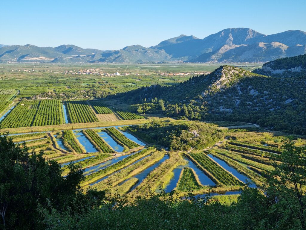 Panorama zielonej Doliny Neretwy z siecią kanałów wodnych i polami uprawnymi widziana z trasy do Dubrownika.