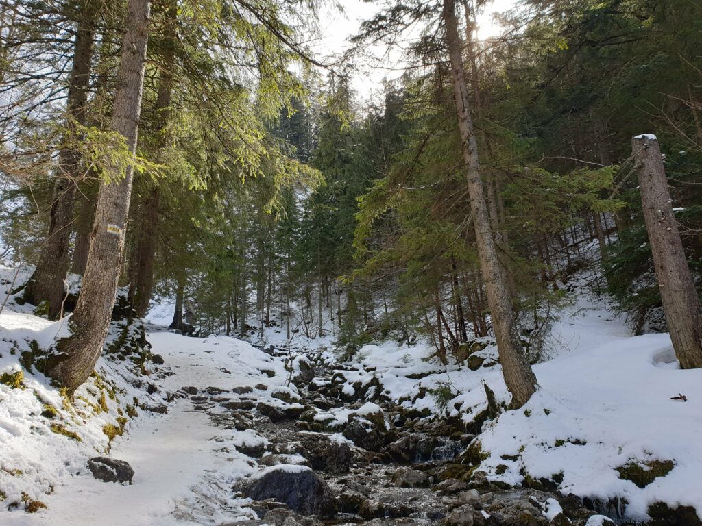 Górski potok płynący przez kamienie obrośnięte mchem w Dolinie Strążyskiej w Tatrzańskim Parku Narodowym.