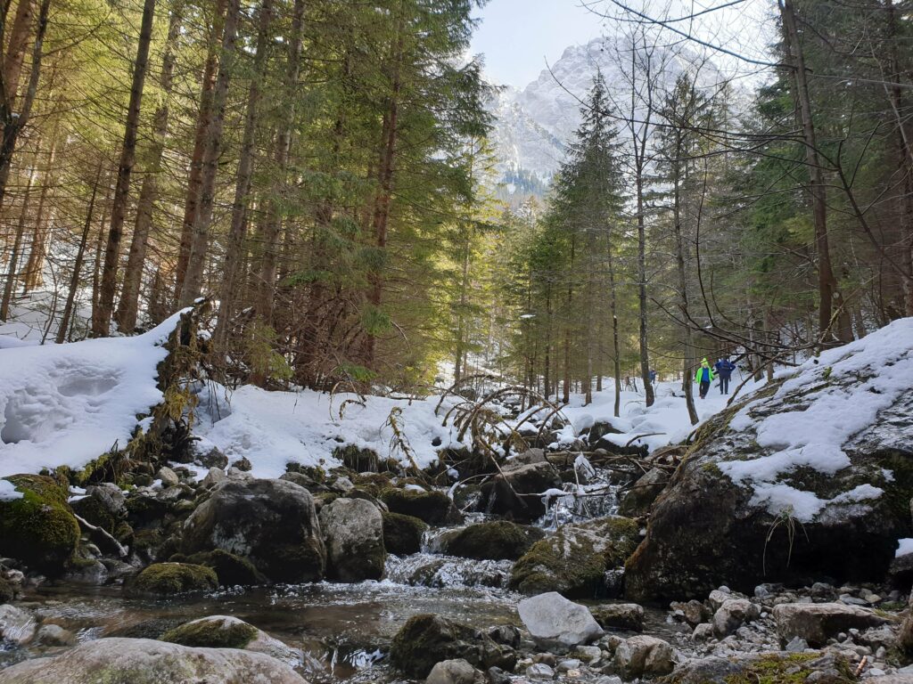 Krystalicznie czysty Potok Strążyski płynący przy leśnej ścieżce w Tatrzańskim Parku Narodowym.