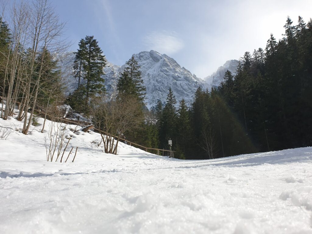 Potężna północna ściana Giewontu górująca pionowo nad Polaną Strążyską w letni dzień.