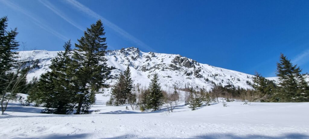 Czerwony szlak nad Morskie Oko prowadzący przez las w zimowej scenerii TPN