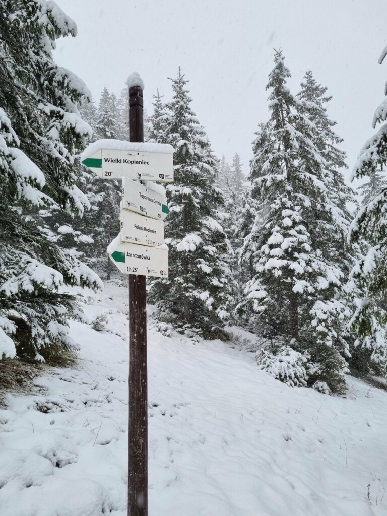 Ośnieżony drogowskaz TPN w lesie: Wielki Kopieniec 20 min, Toporowa Cyrhla 45 min, Jaszczurówka 1h 25 min.