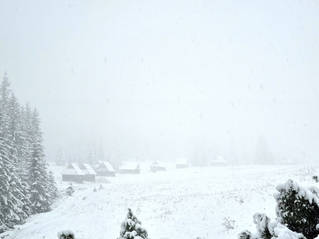 Zabytkowe szałasy pasterskie na Polanie Kopieniec przysypane grubą warstwą śniegu.