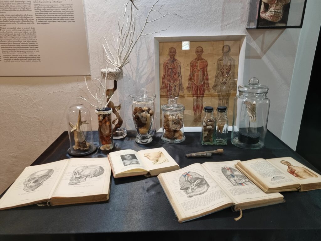 Zabytkowy, ceglany budynek dawnego Szpitala św. Ducha we Fromborku, mieszczący Muzeum Historii Medycyny i jego eksponaty.