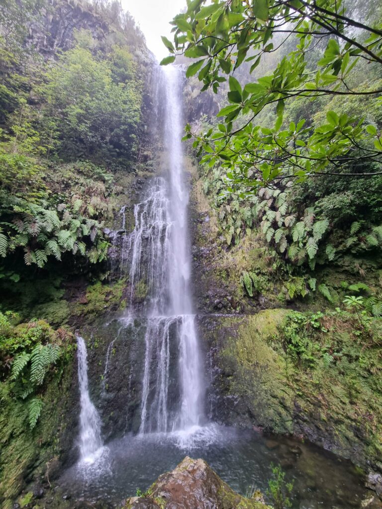 Woda spadająca z porośniętych mchem skał bezpośrednio na ścieżkę i koryto lewady na trasie PR 9.