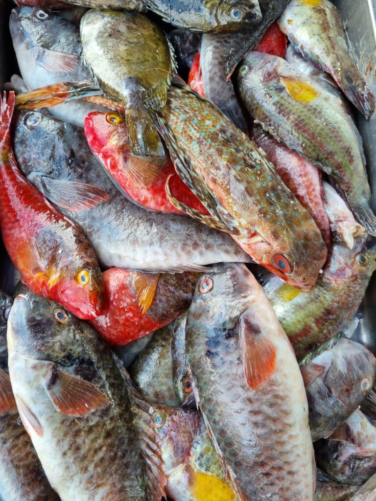 Stoiska ze świeżymi rybami i owocami morza na słynnym niedzielnym targu rybnym w porcie Marsaxlokk.