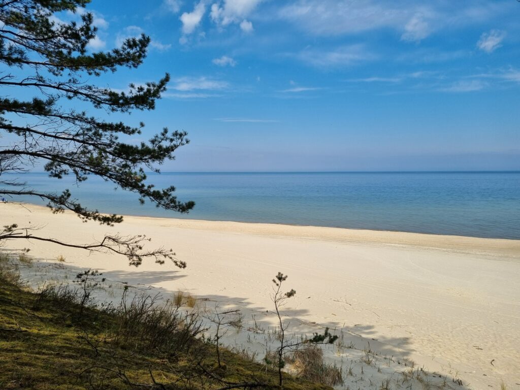 Szeroka, piaszczysta plaża w Sztutowie otoczona lasem sosnowym i wydmami.