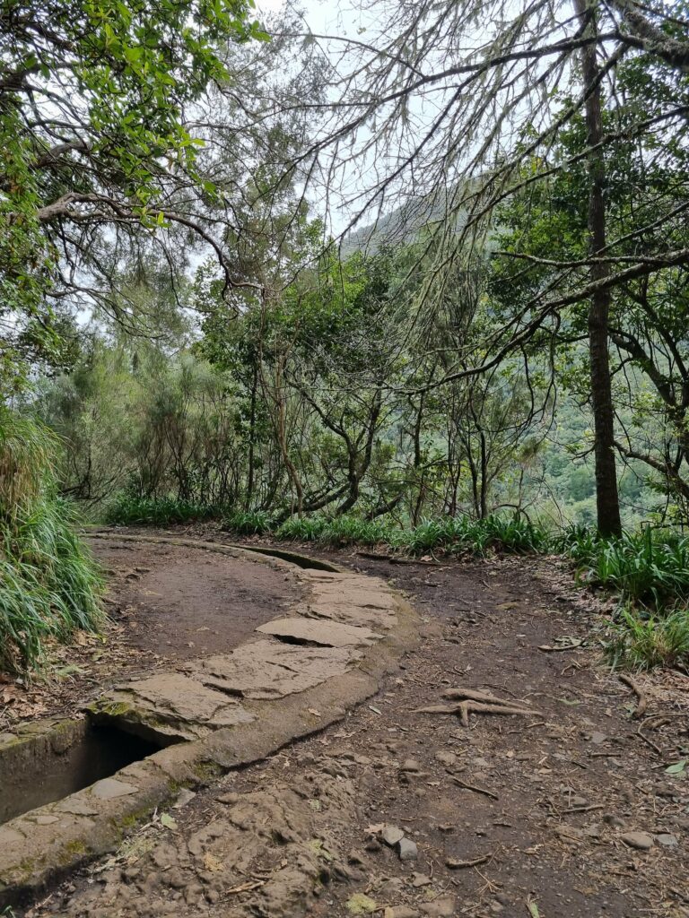Szeroka, płaska ścieżka na szlaku Vereda dos Balcões na Maderze, idealna dla początkujących turystów.