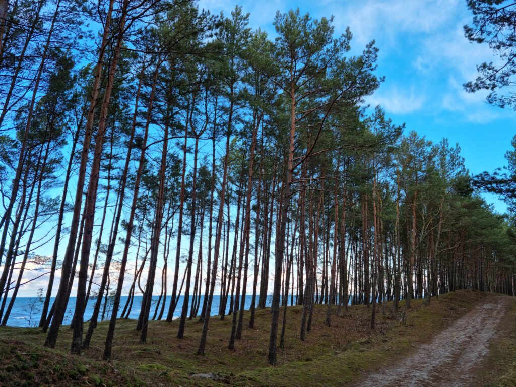 Spokojna ścieżka do plaży w Stegnie poza sezonem