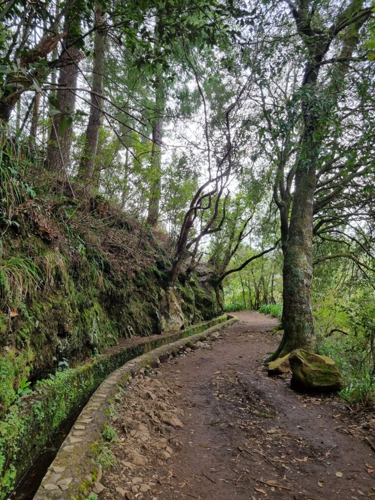 Szeroka i płaska ścieżka wzdłuż lewady na początku szlaku PR11 Vereda dos Balcões na Maderze.