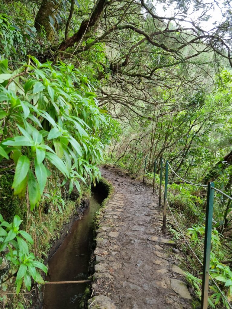 Zabezpieczony linkami i barierkami odcinek szlaku PR 9 z widokiem na stromą, zieloną dolinę na Maderze.