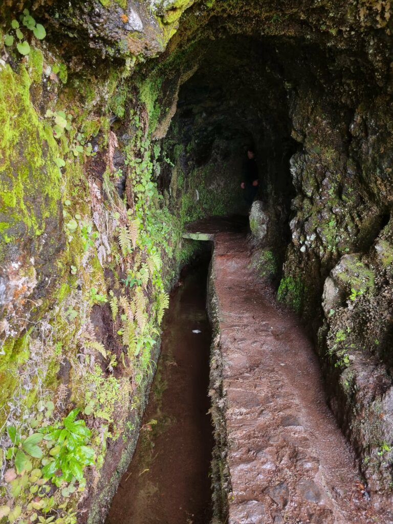 Ciemne i wilgotne wnętrze skalnego tunelu na szlaku lewady Caldeirão Verde na Maderze, oświetlone światłem latarki czołowej.