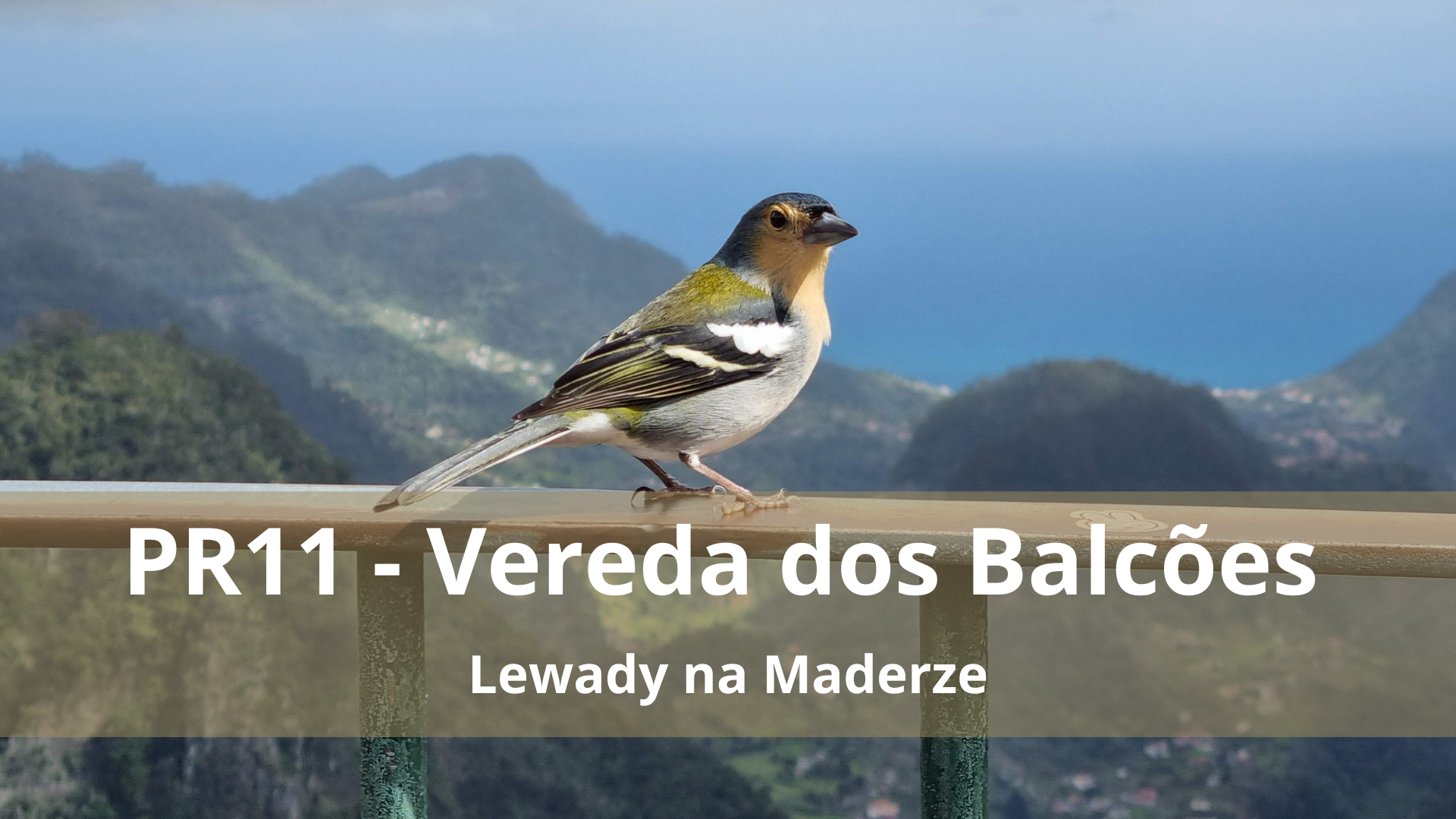 Lewady na Maderze: Vereda dos Balcões (PR11) – opis szlaku