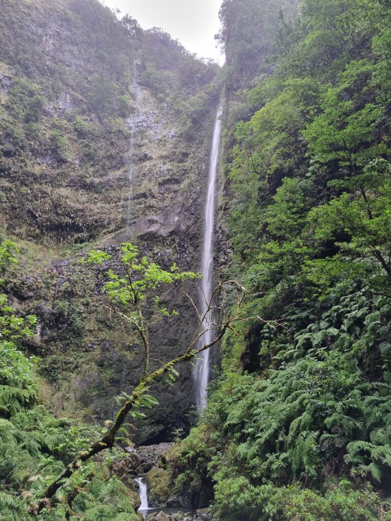 Stumetrowy wodospad Caldeirão Verde wyłaniający się zza zielonych, stromych skał pod koniec szlaku na Maderze.