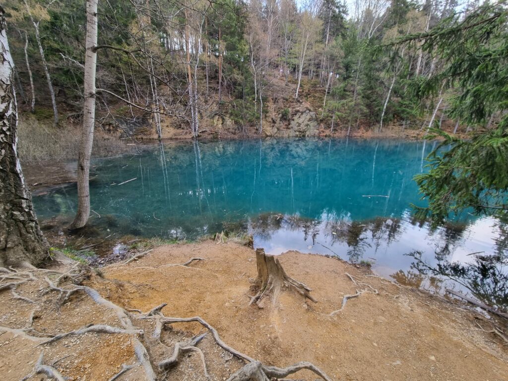 Lazurowa, czysta woda Błękitnego Jeziorka otoczona gęstym lasem w Wieściszowicach.