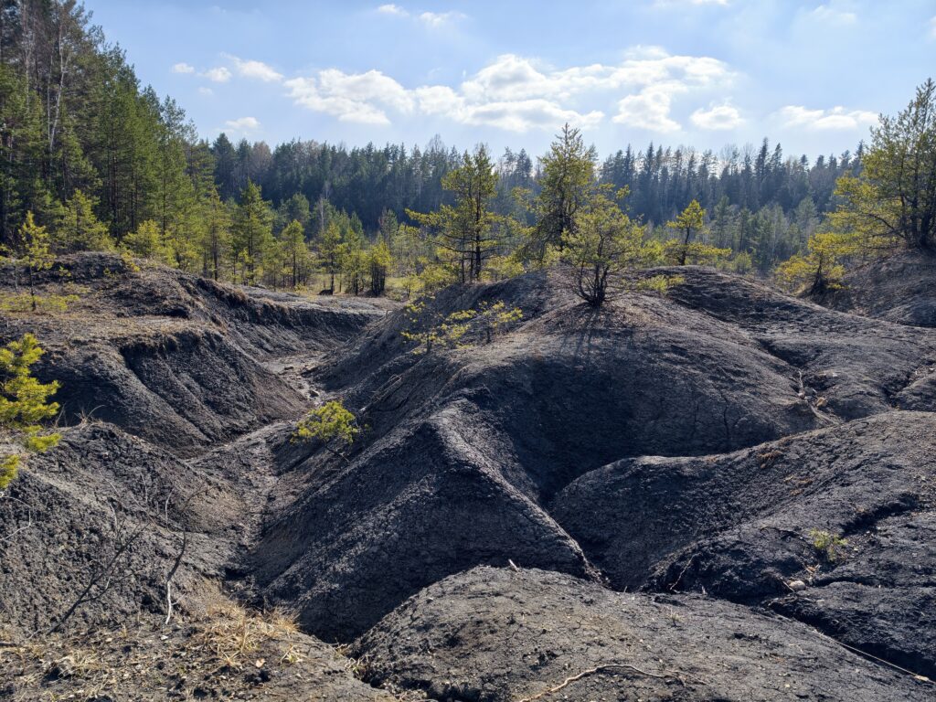 Mroczny, niemal czarny krajobraz zalanego wodą wyrobiska gliny w rezerwacie przyrody Gagaty Sołtykowskie w województwie świętokrzyskim.
