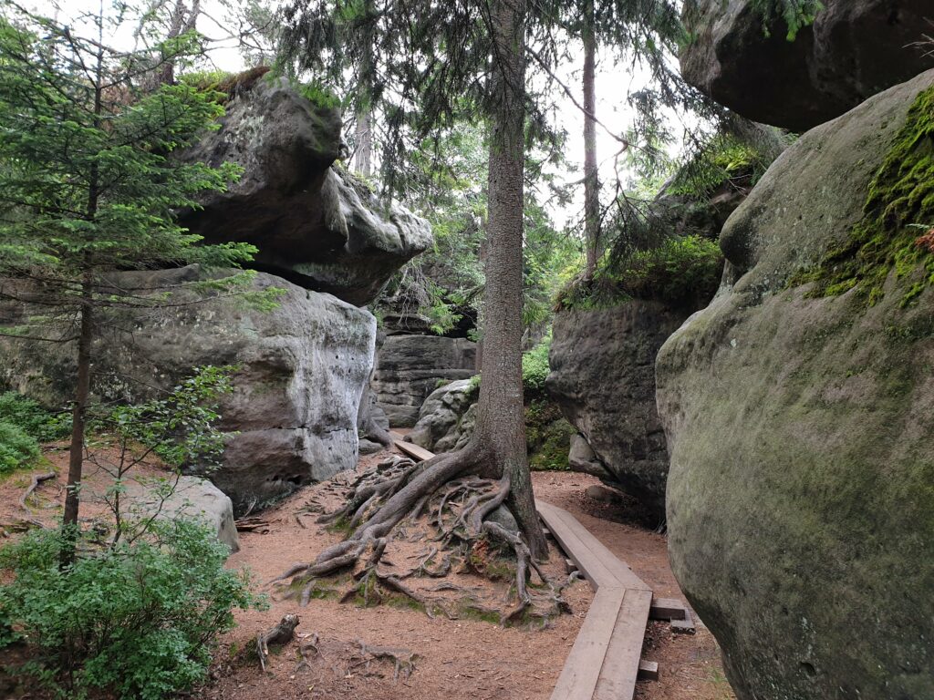 Drewniane podesty i kładki turystyczne wyznaczające szlak między wysokimi ścianami skalnymi w Błędnych Skałach.