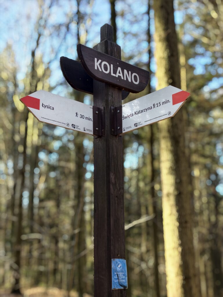 Drewniany drogowskaz turystyczny na czerwonym szlaku prowadzącym przez las na szczyt Łysicy.