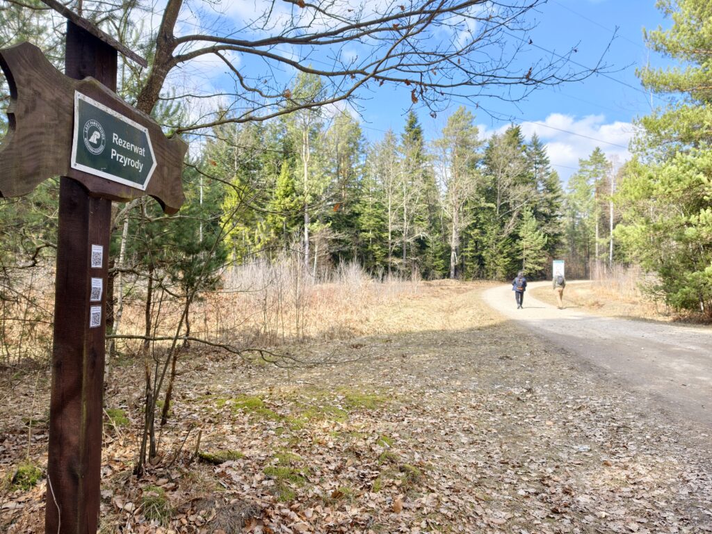 Drewniany drogowskaz turystyczny na skraju lasu wskazujący kierunek marszu do rezerwatu przyrody Gagaty Sołtykowskie w województwie świętokrzyskim.