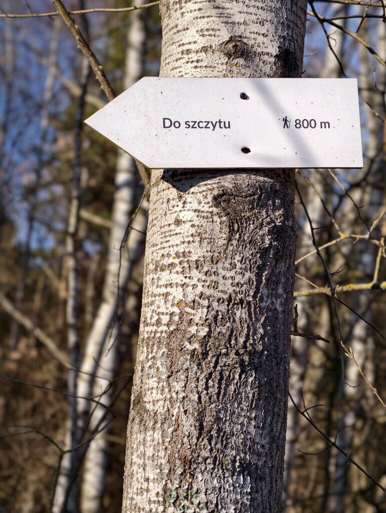 Drewniany drogowskaz turystyczny z oznaczeniem szlaku, wskazujący kierunek i czas wejścia na górę Miedzianka.