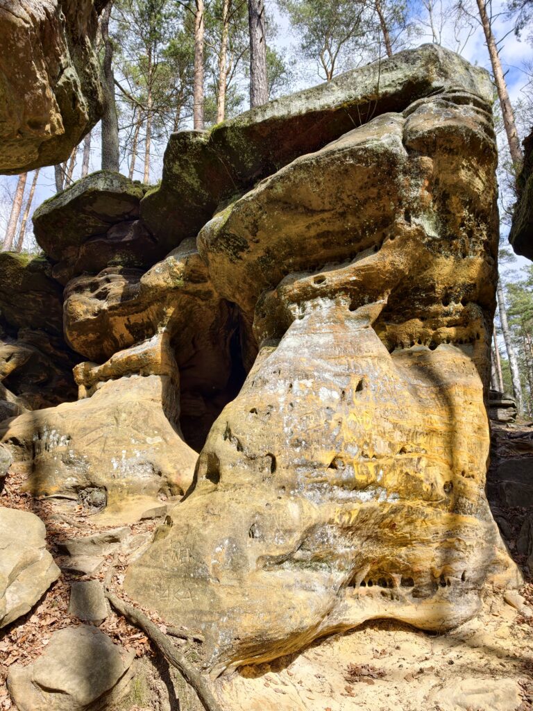 Zbliżenie na porowatą, rdzawą strukturę piaskowca jurajskiego w świętokrzyskim rezerwacie.