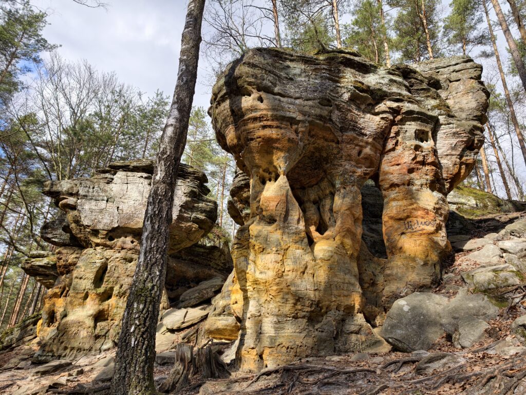 Głaz o fantazyjnym kształcie przypominającym lwa lub sfinksa ukryty wśród drzew na Skałkach Piekło.